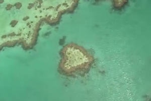 澳大利亚世界遗产专题片 大堡礁